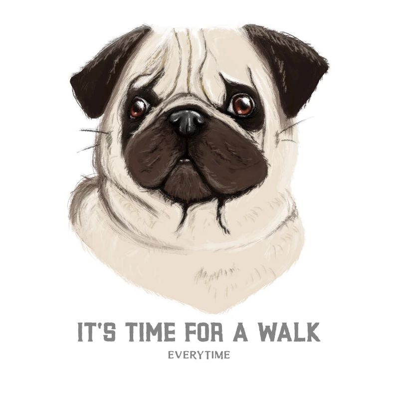 Dog Time for Walk