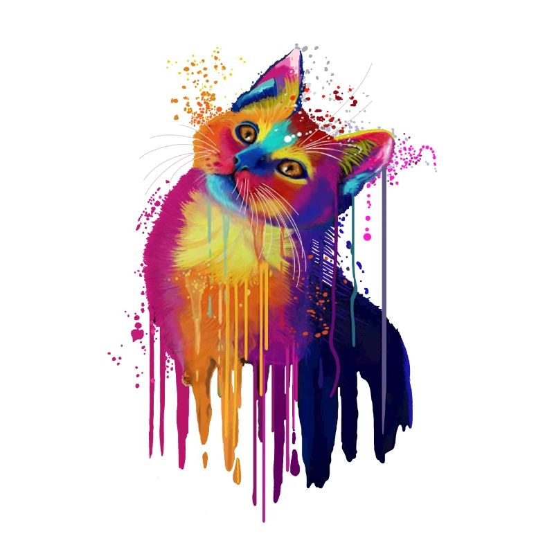 Bunte Katze