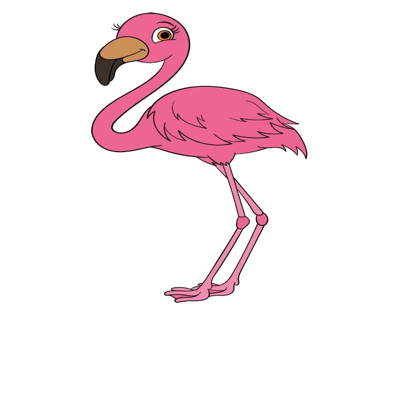 Funny flamingo graphics