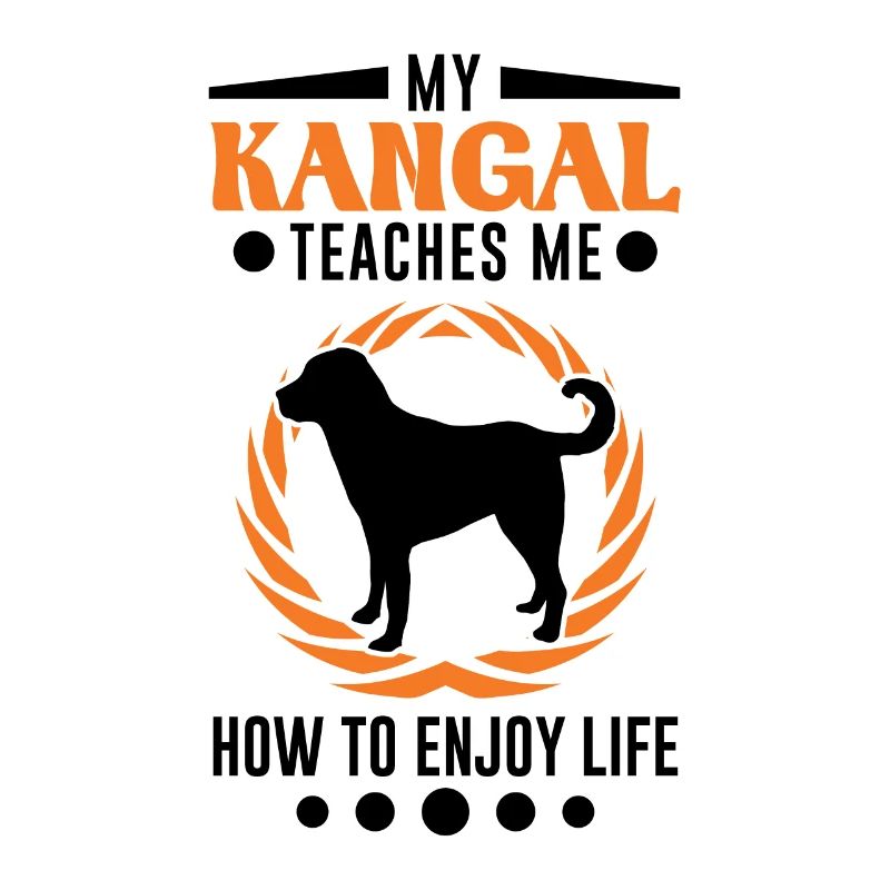 Mon Kangal m’apprend à profiter de la vie Kangal