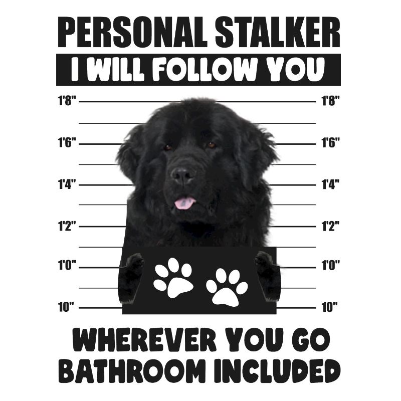 Persönlicher Stalker-Hund, Flat Coated Retriever, Geschenk