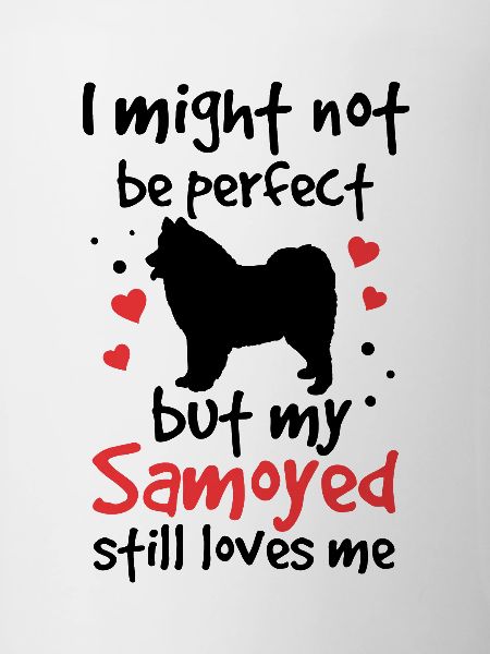 Samoyed is not perfect Samojedenspitz