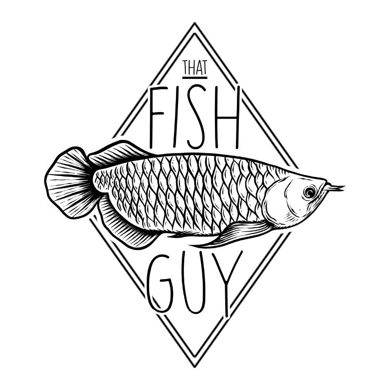 Ce poisson Guy Aquarium Hobby