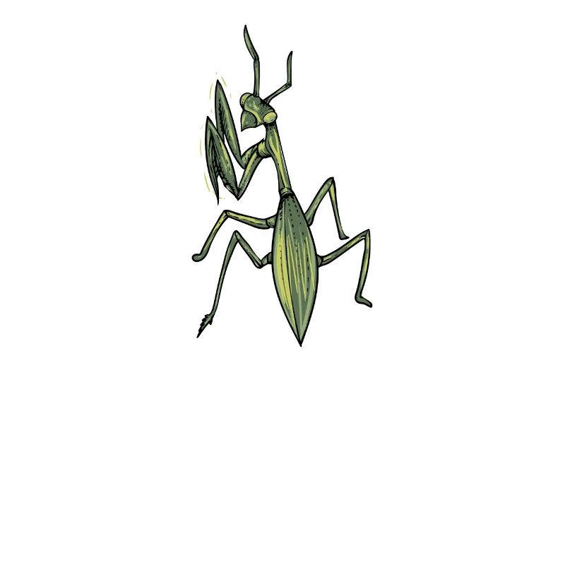 Praying Mantis I Mantis Insect Motif