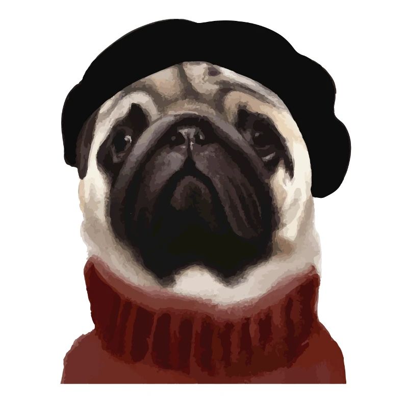 Chien carlin avec casquette et pull