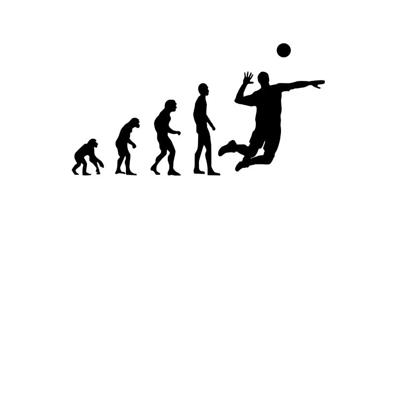 Évolution du volleyball