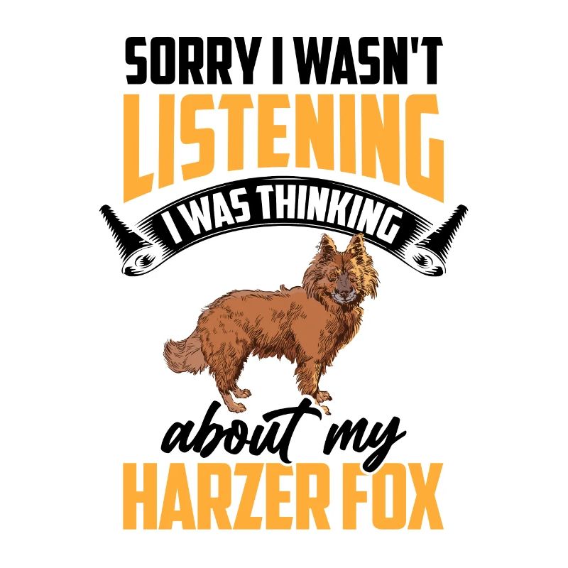 Harz fox was distracted herding fox