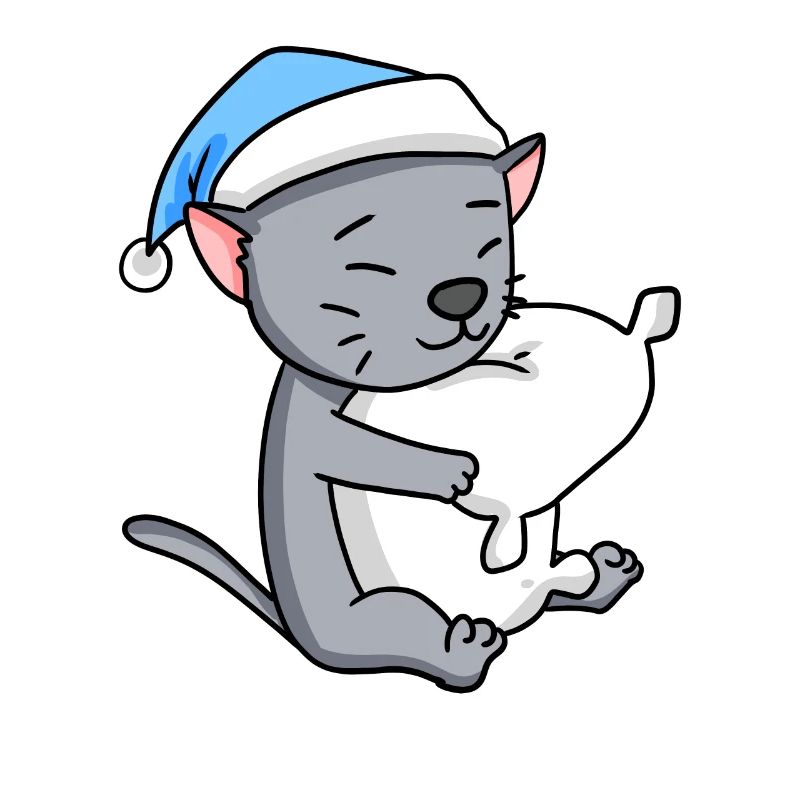 Chat race korat