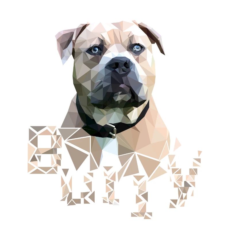 American Bully Farbe
