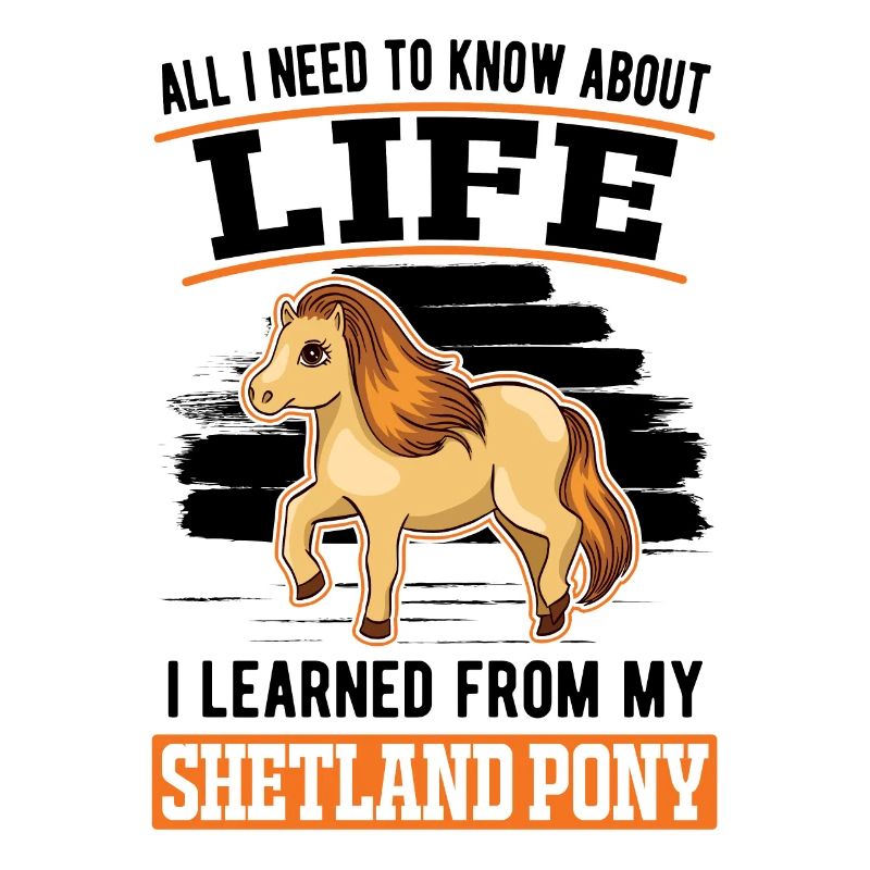 Shetland Pony Shetland Pony Shetty
