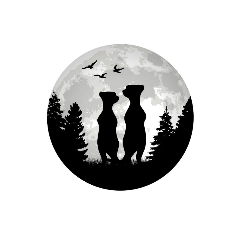 Suricate Lune Suricate