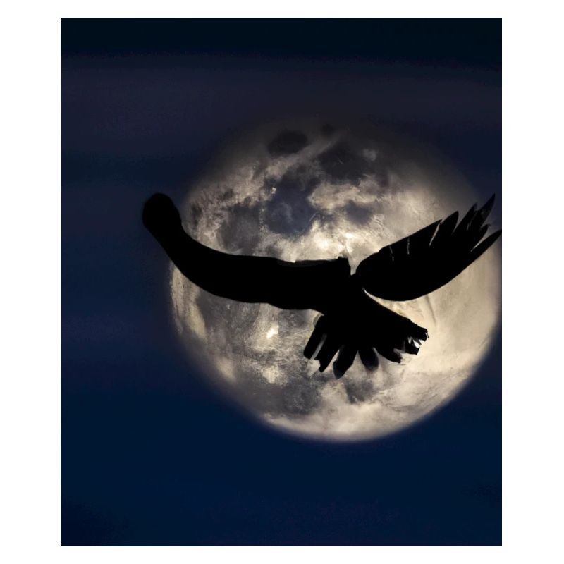 Goth Gothic Lover Schatten Eines Raubvogels
