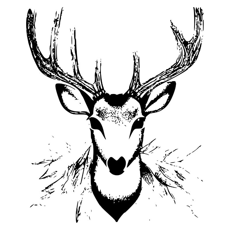 Hirschkopf im Herbst Hirsch Geweih Bock Reh Kitz