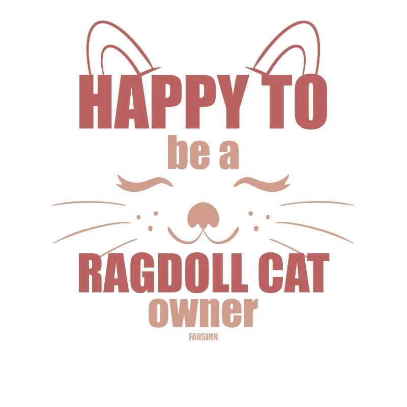 Ragdoll Cat Cat Lovers Chatons Chatons