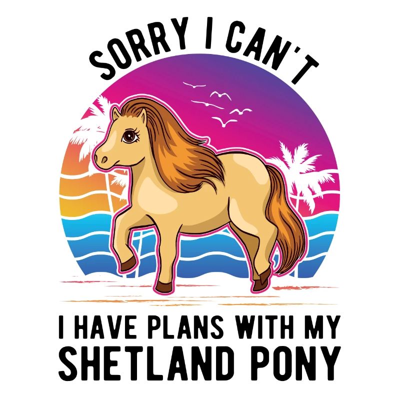 Shetland Pony Shetland Pony Shetty