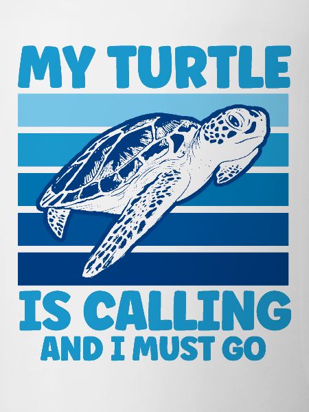 Turtle Keeping Sea Turtle Turtles