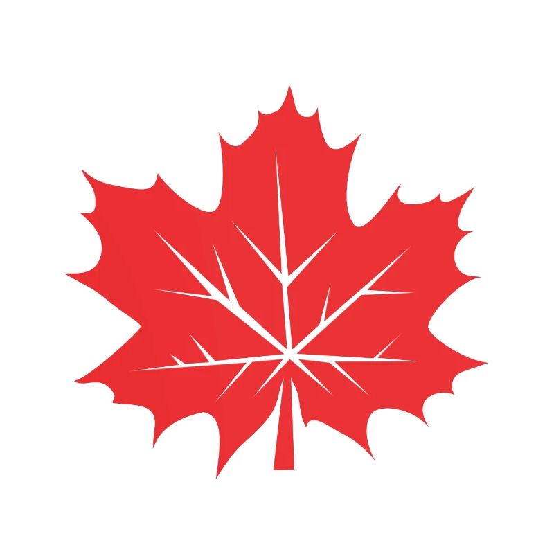 Feuille d’érable Feuille Canada Arbre