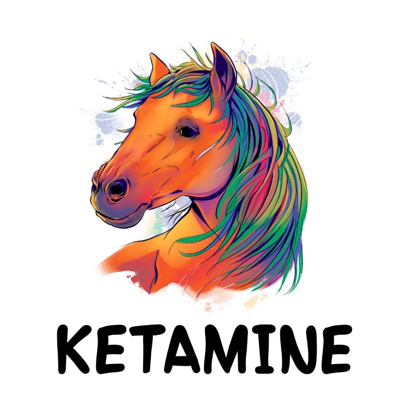 Ketamin Pferd Reiten Mädchen, Das Pony Liebt