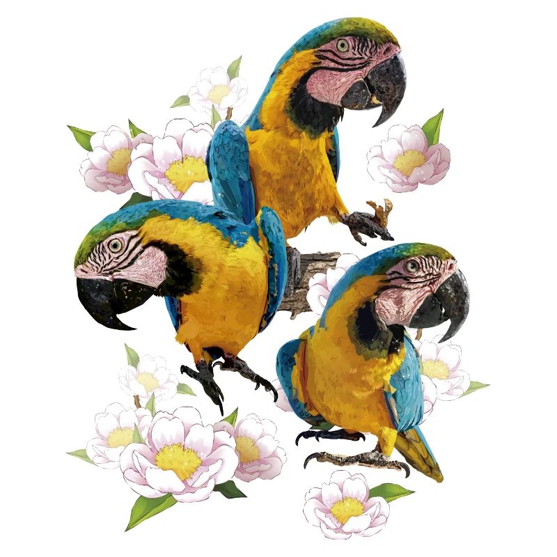 L’ara bleu et jaune