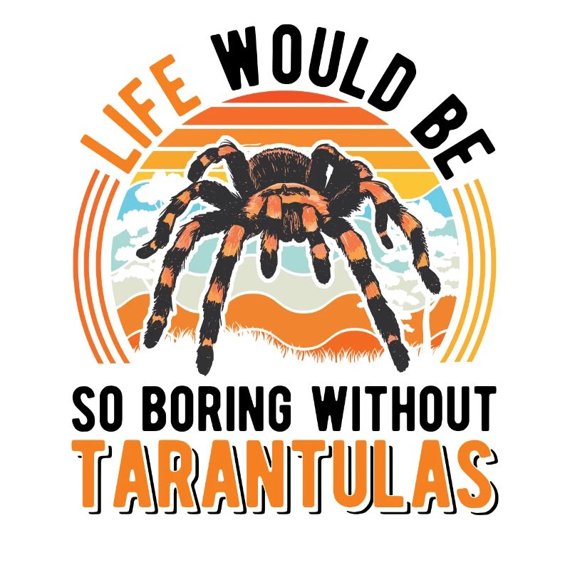 Tarentule Araignée Tarentule