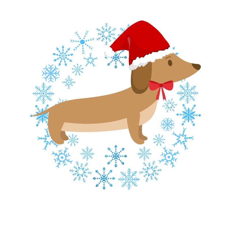 Drôle de Teckel de Noël Teckel de Noël Chien