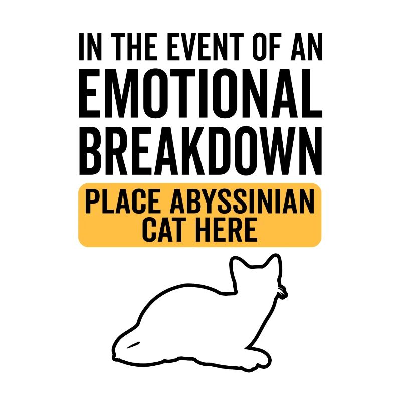 Émotionnel - Chat Abyssin