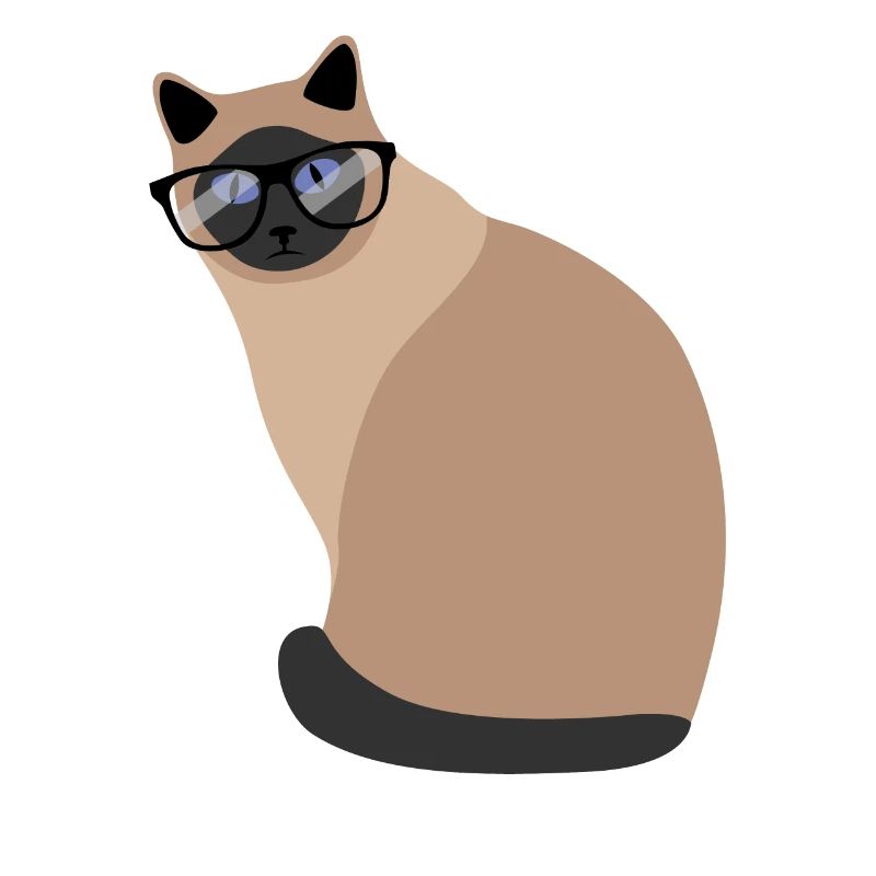 Nerd Cat With Glasses Funny Kitten Gift