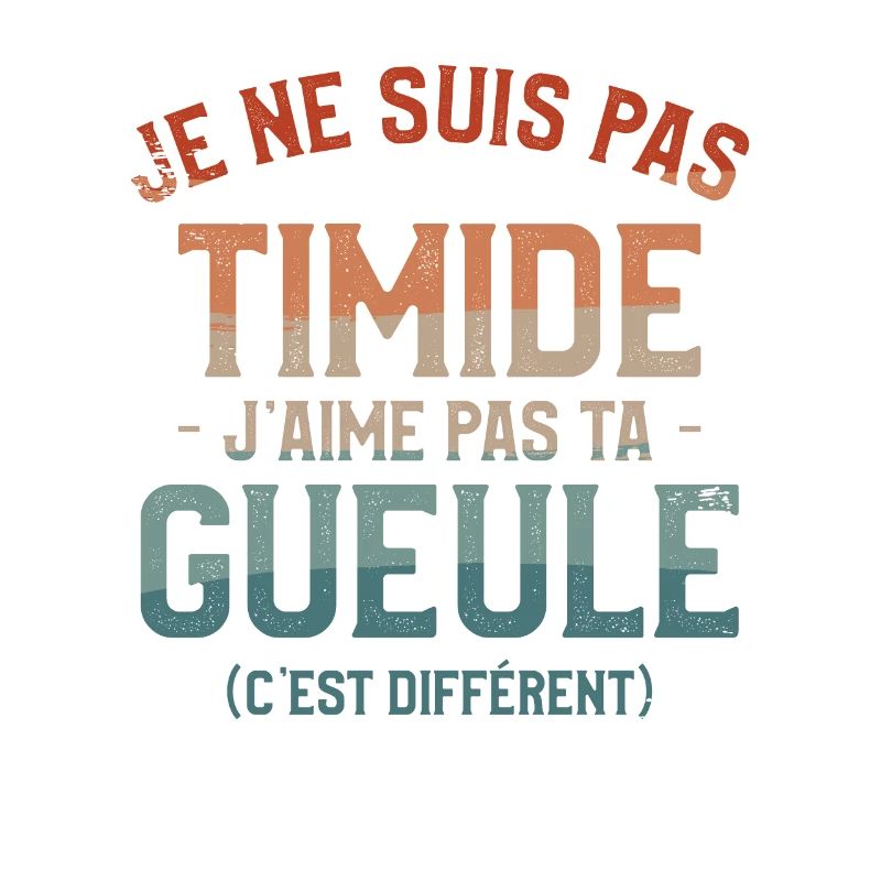 Je Ne Suis Pas Timide J'aime Pas Ta Gueule C'est