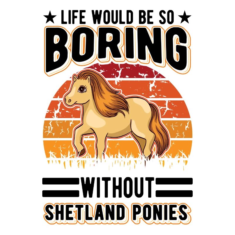 Shetland Pony Gift Shetty
