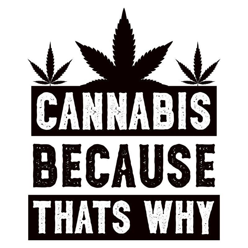 Le cannabis parce que c’est pourquoi le noir