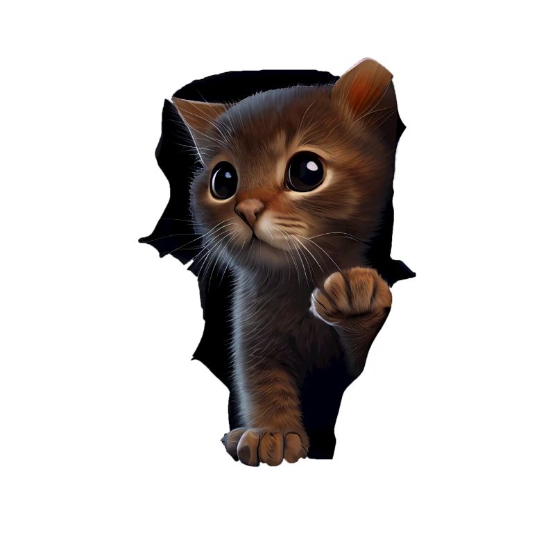 Chat mignon Chaton Craqué Chat Amants Chats Chats