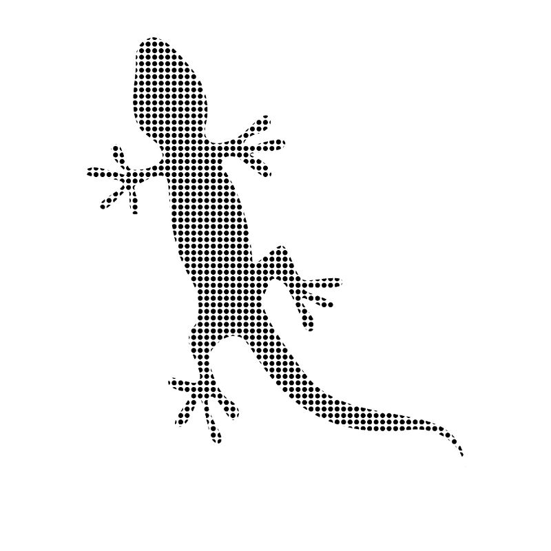 Lizard