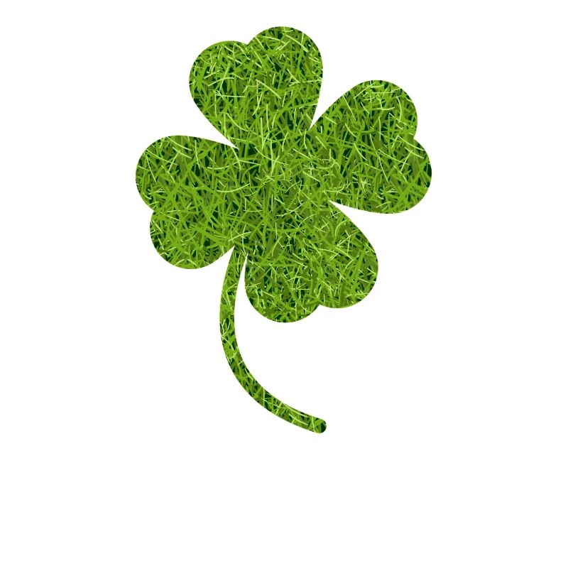 Clover Meadow grass