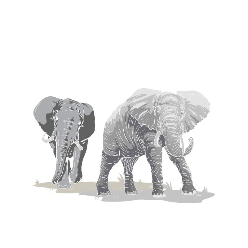 Was ist besser als ein Elefant? Zwei Elefanten