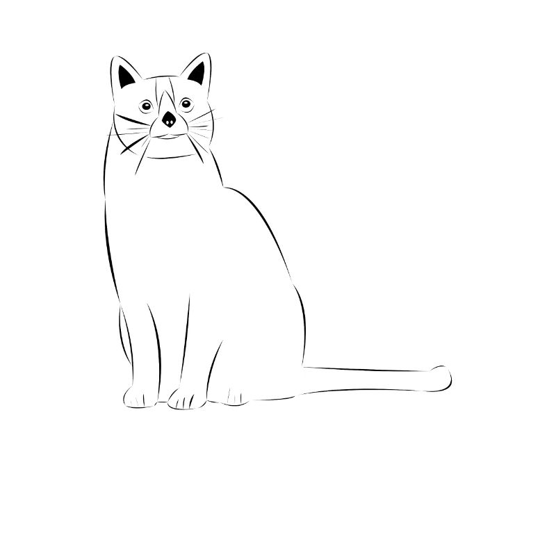 Katze gezeichnet