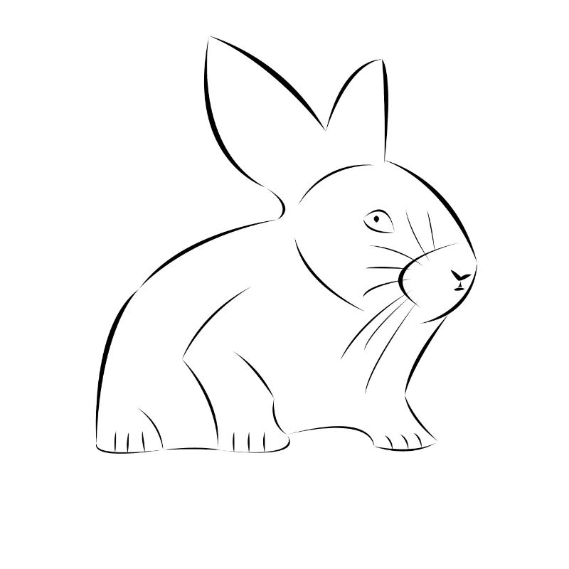 Lapin dessiné