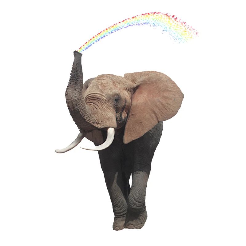 Elefant mit Regenbogen - Eli - Afrika