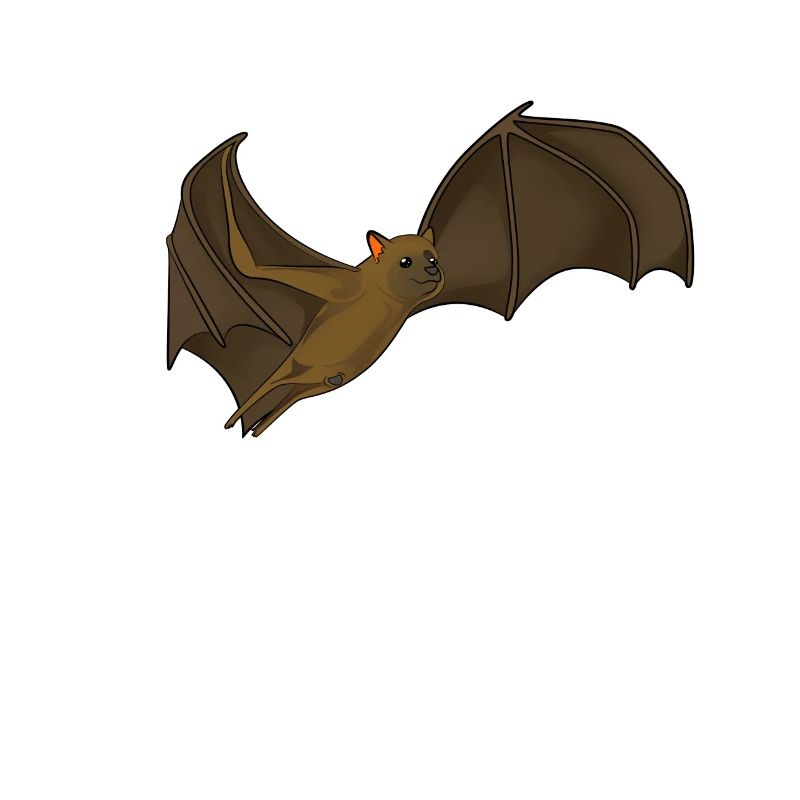 Kawaii Flying Fox