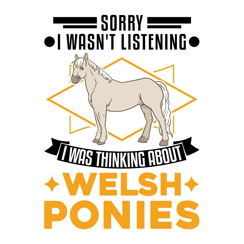 Welsh Pony Gift