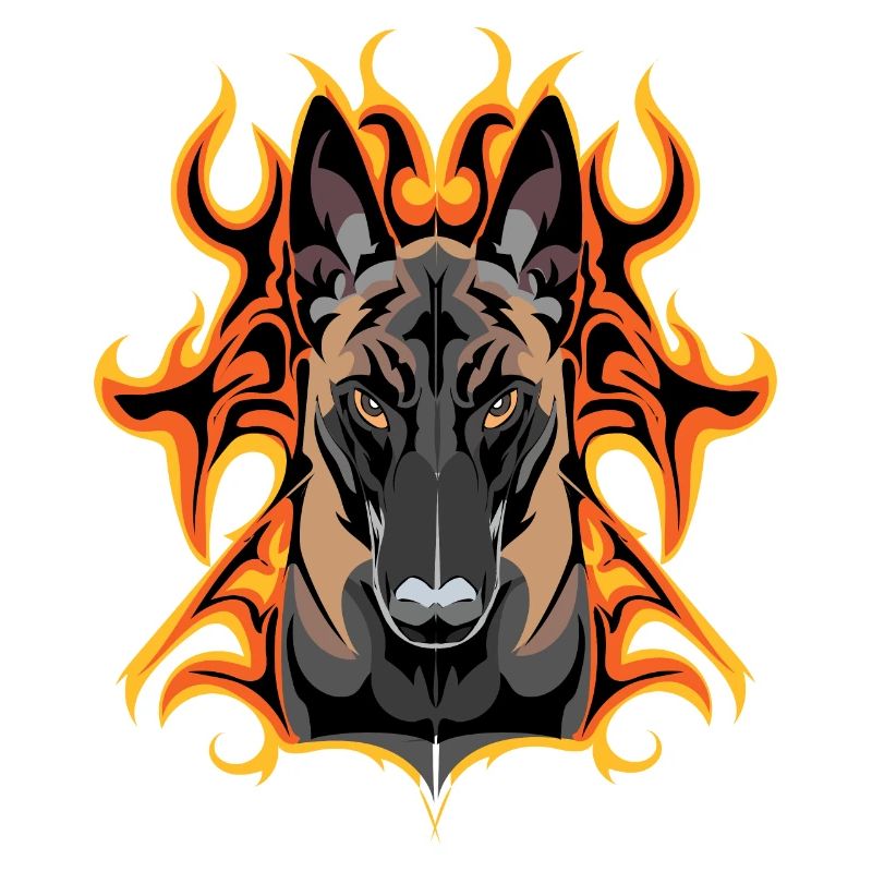 flash malinois