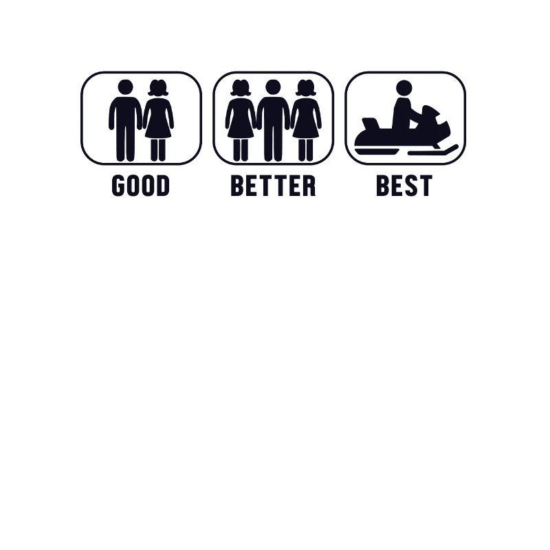 Good Better Best Snowmobile Snowmobile Drivers