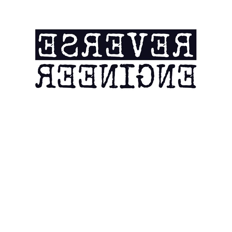 Reverse Engineer Softwareingenieur Developer