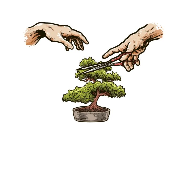 Fun Bonsai Tree Care Pruning Bonsai