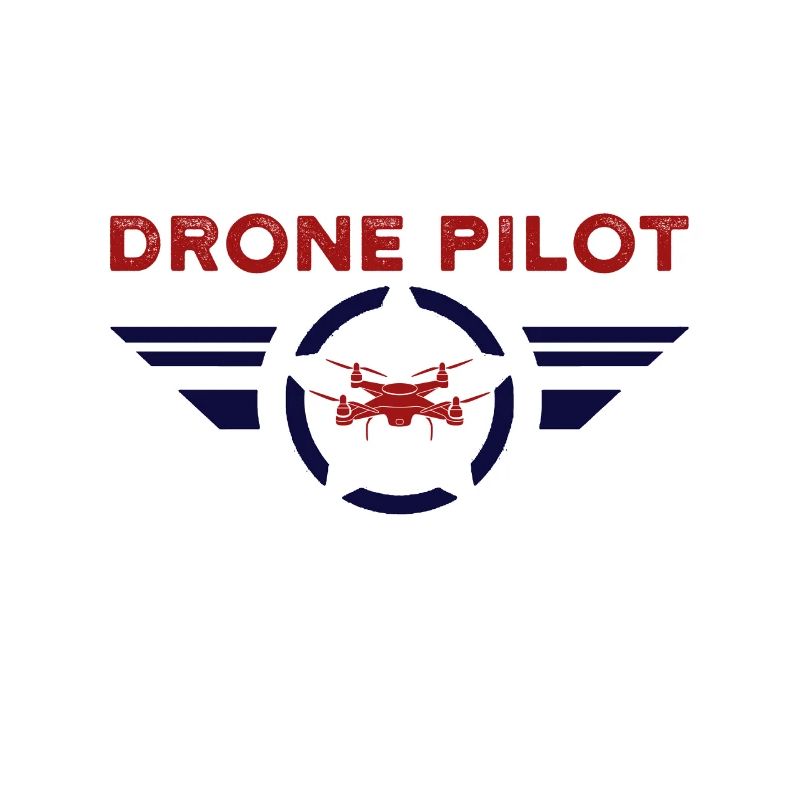 Pilote de drone