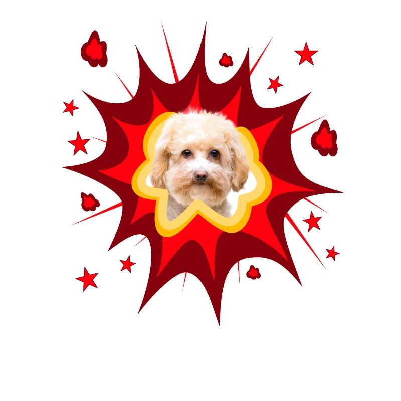 Comic Dog Design - Pow - Miniature Poodle - Poodle