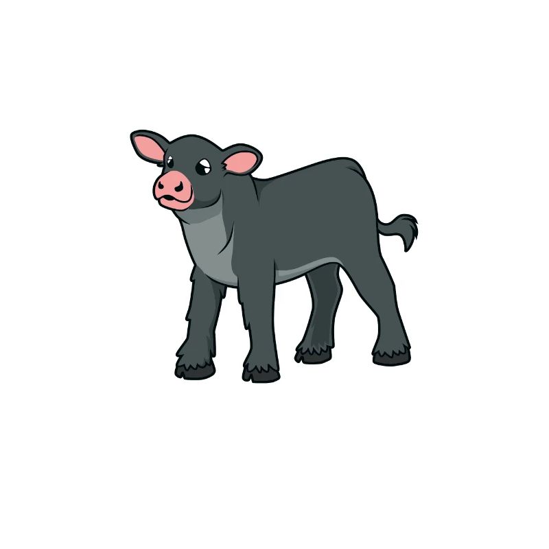 Kawaii Black Angus Beef