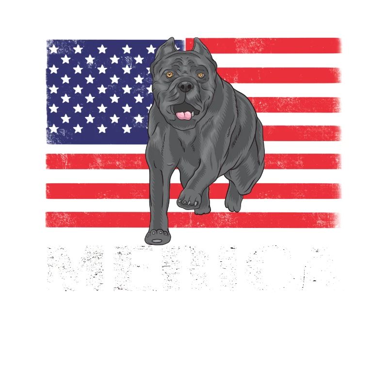 Cane Corso Merica