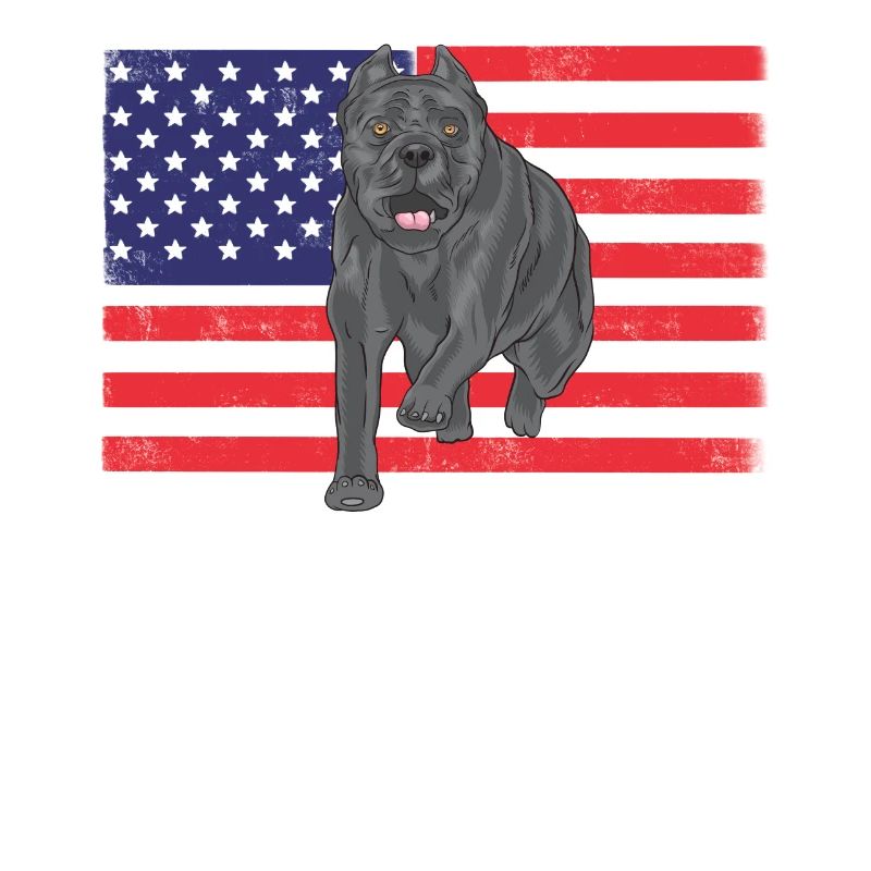 Cane Corso États-Unis