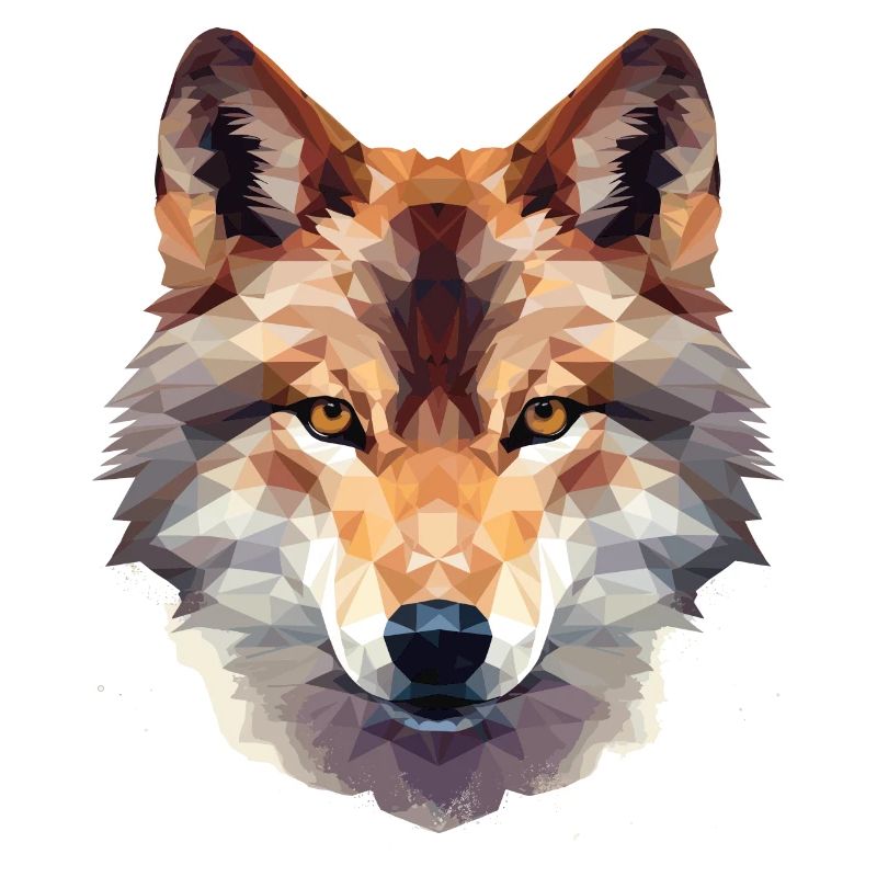 Geometric fox