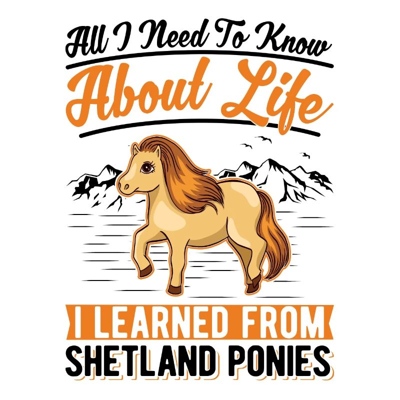 Shetlandpony Shetland-Pony Shetty